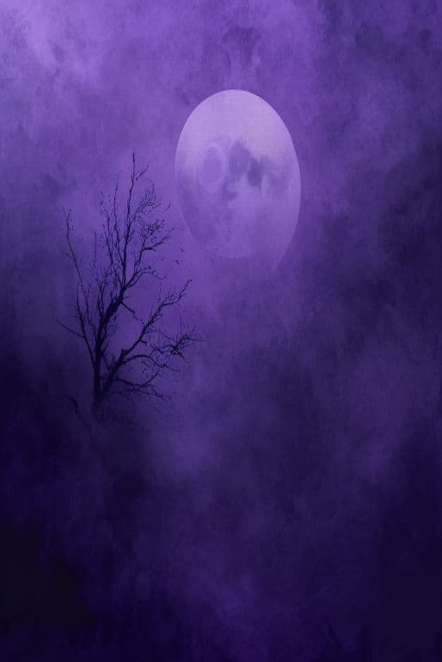 Kẻ Theo Dõi Avatar