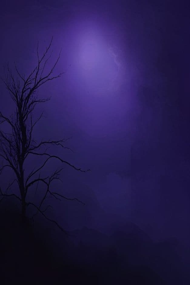 Ảnh Cưới Thiếu Nửa